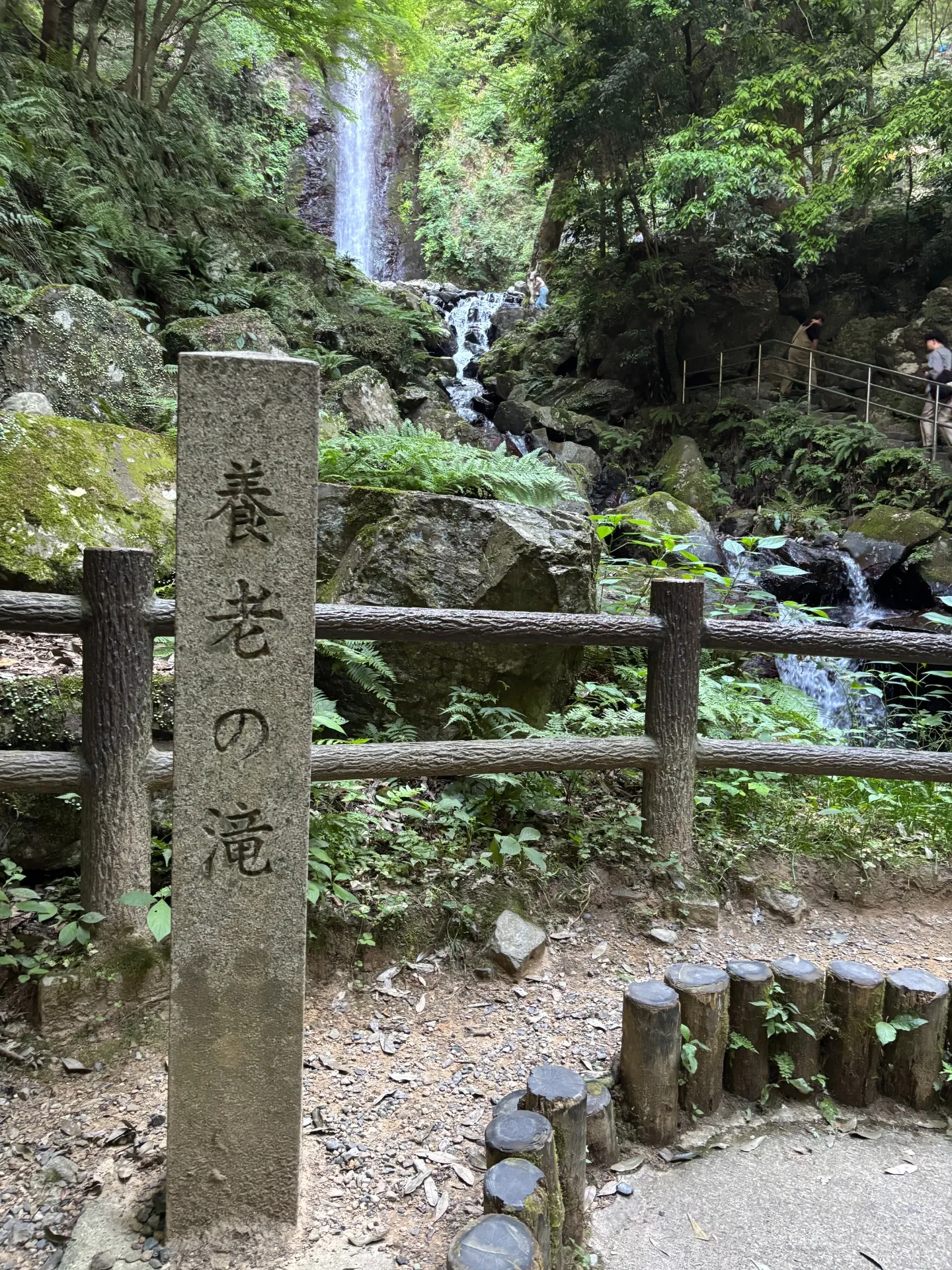 愛犬2匹と養老の滝へ！心地よい涼しさで頭もスッキリ