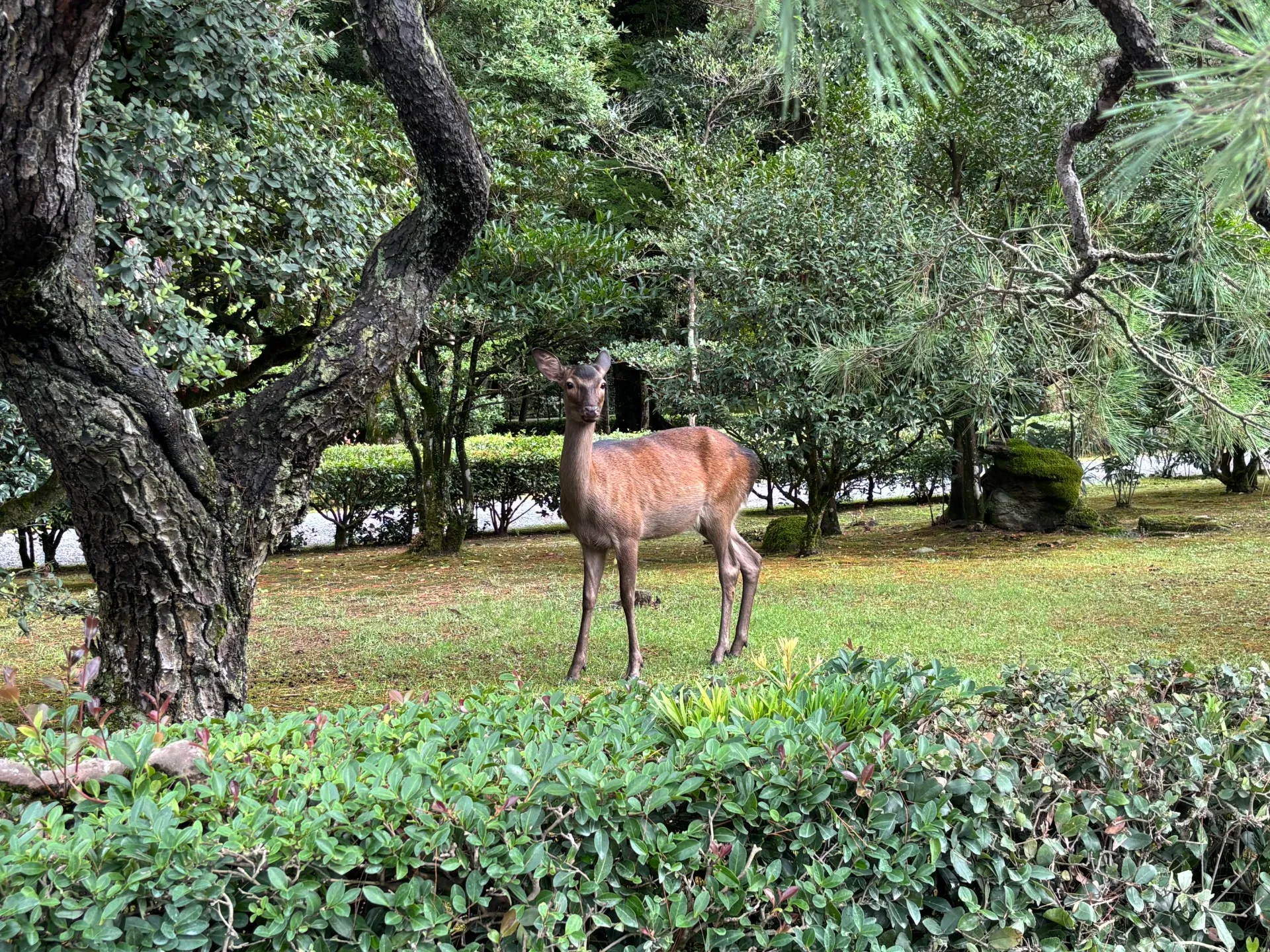 奈良・和歌山巡りの旅 3日目